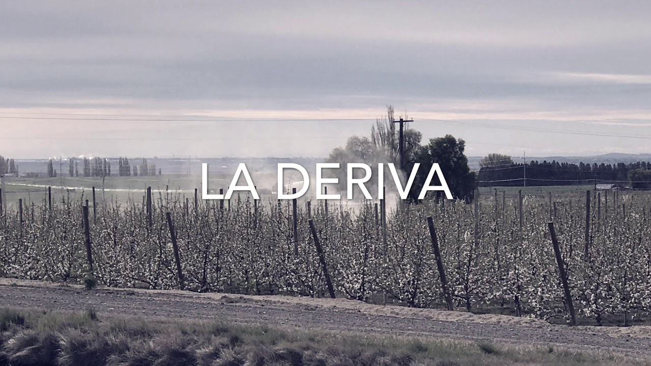 Washington Fruit 23 Puntos 1080p