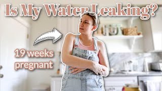 Is My Water Ruptured &amp; Leaking? Getting It Checked Out | 19 Weeks Pregnant After Infertility Vlog
