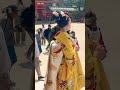 祗園甲部の舞妓さん👘平安神宮⛩️