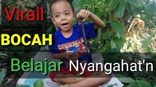 Virall!!! BOCAH BELAJAR TRADISI Nyangahatn:)