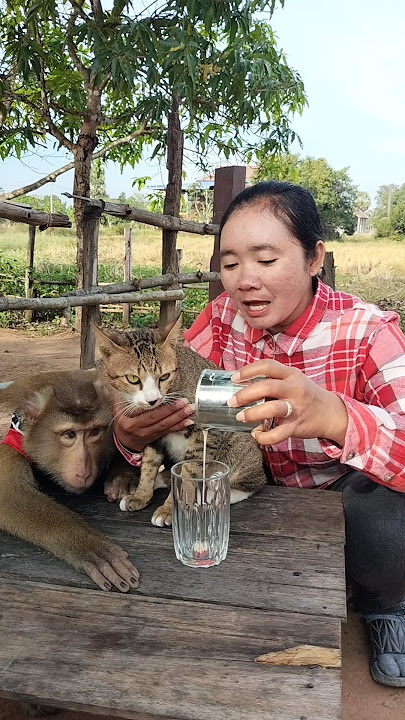 Great SokYaa,OG, ToTo Animals Are So Awesome #shorts