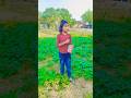 ale apni Namkeen#funny #comedy #short #viral #video