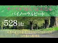 【528Hz×バイノーラルビート】奇跡のソルフェジオ周波数528Hz|DNAレベルですべてを癒す|悩みが解消する|θ波→δ波