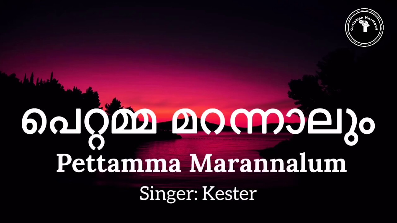 Pettamma marannalum with Lyrics  Kester