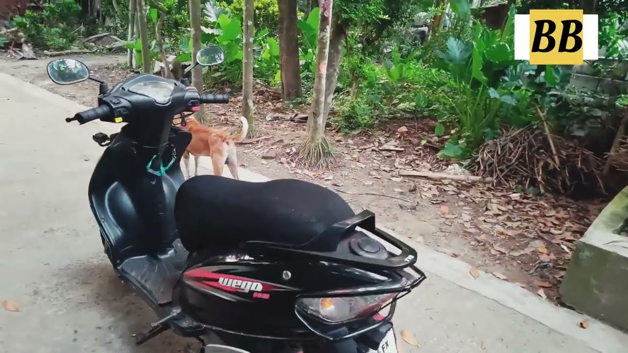 Long Tear Review Of TVS Wego || 15 Year Old Scooty 🤩@YouTube @facebook862 @YouTubeViewers #youtube