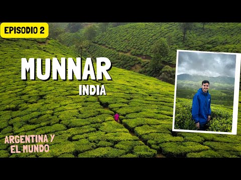 Video: Lugares principales para visitar India Plantaciones de té