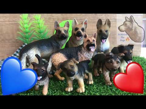 Моя коллекция немецких овчарок от разных фирм [schleich]