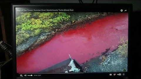 Mudfossil U part 13...Blood in the water