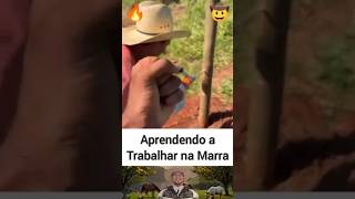 Aprende ou Aprende🤠🔥#roça