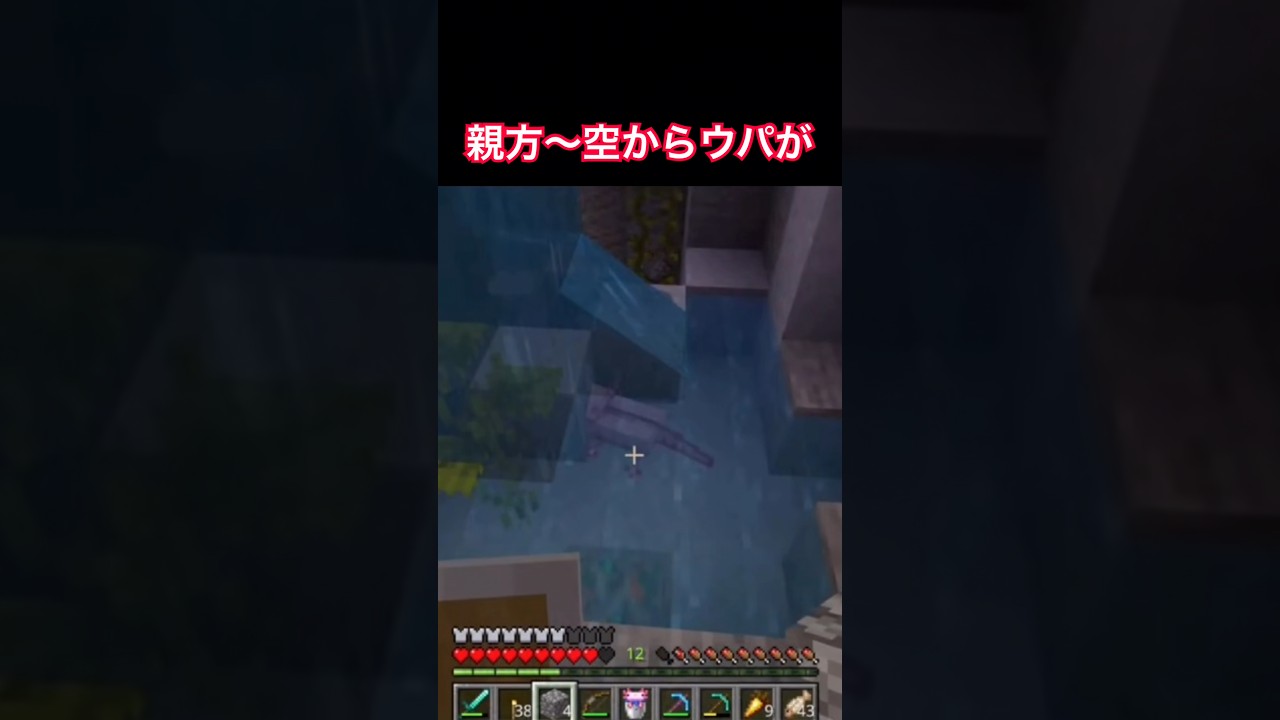 【#マイクラ 】天空のウーパー #獅子原海月 #shorts