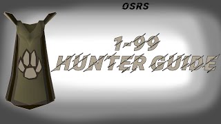 OSRS Fastest 1-99 Hunter Guide P2P