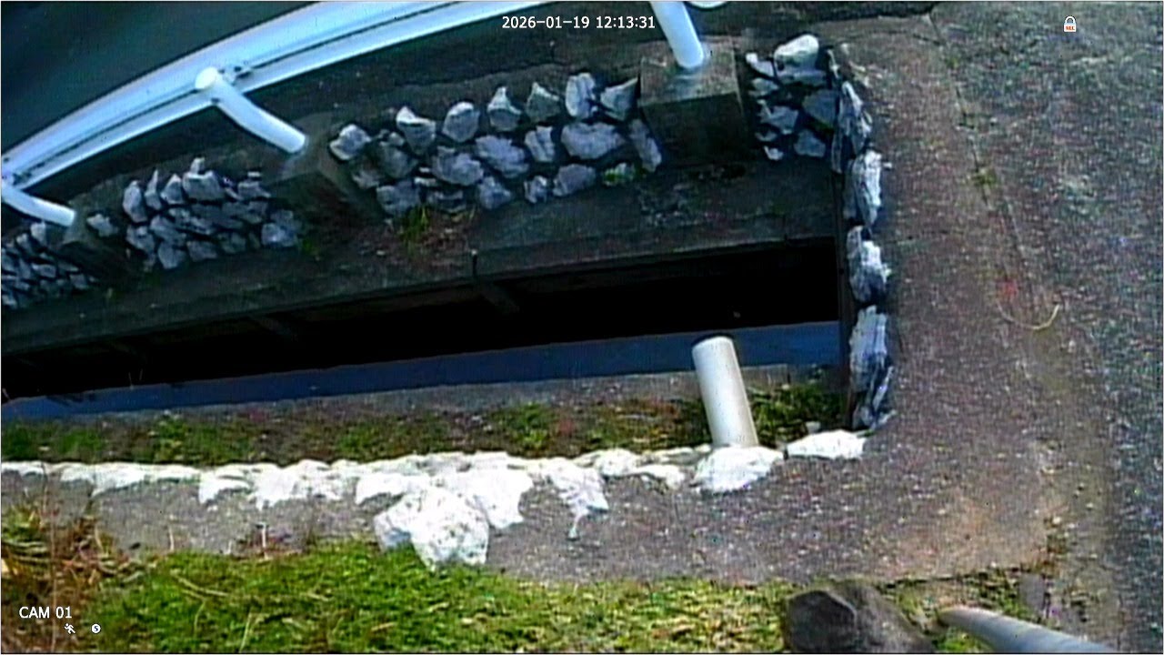 2026.1.19、環境ライブ、神明川支流河川カメラ、live of micro river from japan, mikkabi hamamatsu japan