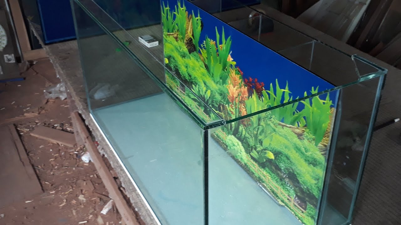 skat aquarium