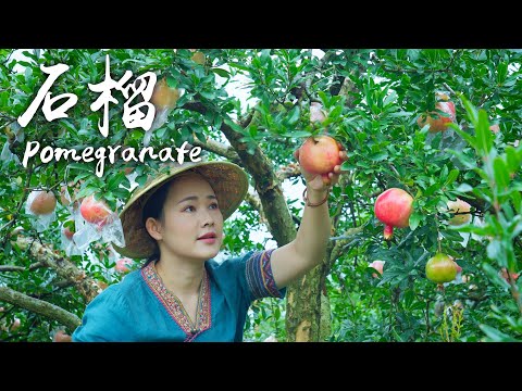 Видео: Гранат – «Рубин» во фруктах