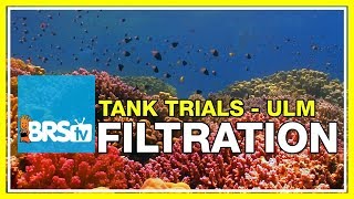 ULM Tank Trials Ep-4: Filtration for Ultra Low Maintenance | BRStv