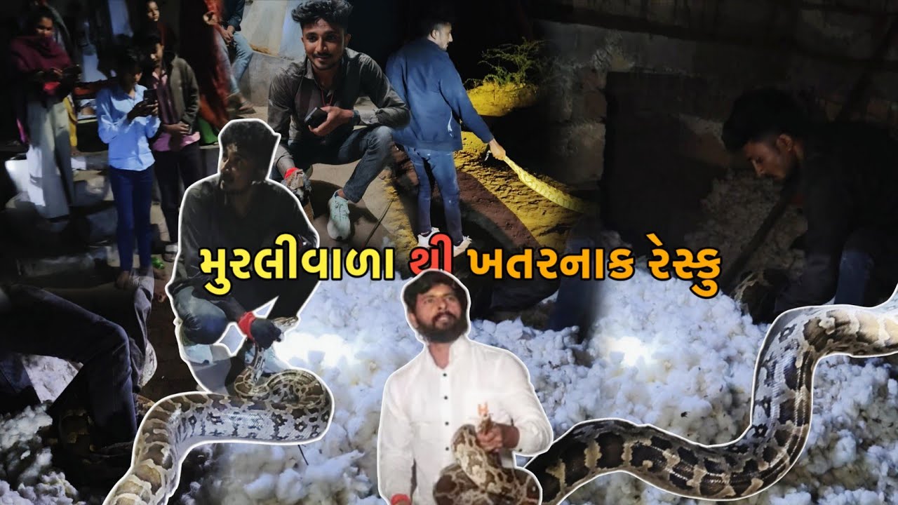 મુરલી વાળા થી ખતરનાક રેસ્કુ || MURALI VALA THI KHATRANAK RESCUE 