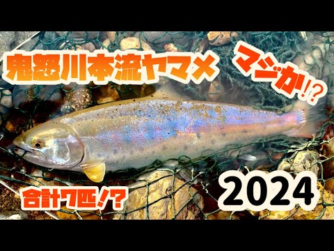 4【本流ヤマメ】鬼怒川本流ヤマメ！釣行2時間！！合計7匹⁉︎ - YouTube
