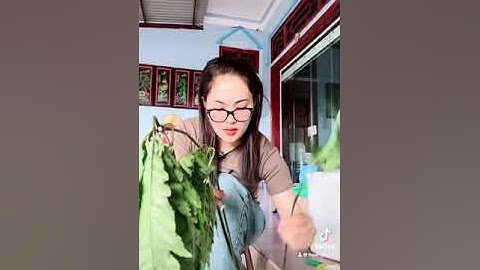 Lô tam thất hoang (sâm vũ diệp) siêu đẹp ạ. Bảo quản thủ công nhất là quần giấy ướt và lá chó đẻ 😂