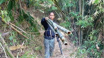 wb ob niam txiv mus kwv xyoob los xov laj kab 12/2/2023