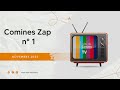 Comines zap n1  novembre 2023