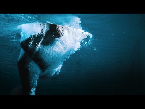 Close Up - San Francisco Swim