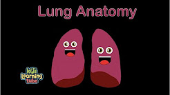 Lungs/Anatomy of Lungs/Lung Song