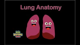 The Lung Anatomy Song