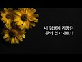 주의 보혈(거친 주의 십자가) [Eng/Kor Sub, 1 hour Ver, 1시간]