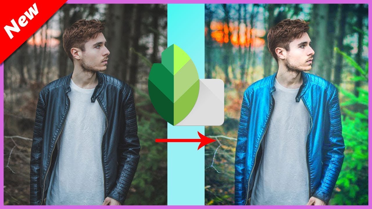 Snapseed Color Grading Photo Editing Tutorial Snapseed New Editing