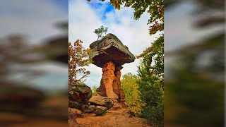 Geheimnisse Des Pfälzerwalds