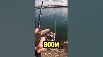 What I LOVE about this ULTRALIGHT fishing reel #ultralightfishing #troutfishing #bassfishing