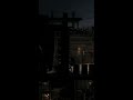 Ragno schiacciato 🫣 | Spider Noir