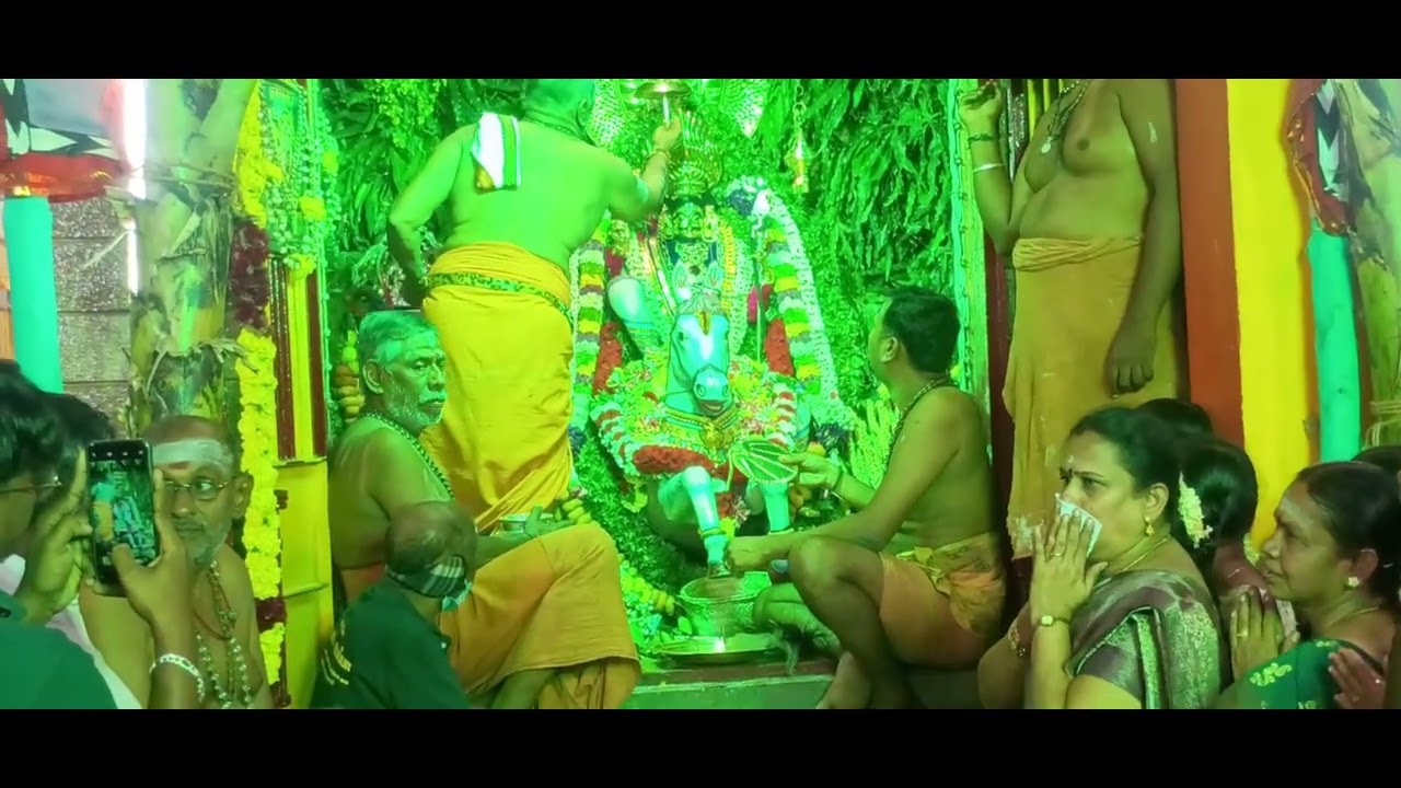 திருநெல்வேலி டவுண், வேம்படித்தெரு ஸ்ரீ சுவாமி சங்கிலி பூதத்தார் திருக்கோவிலின் கொடை சிறப்பு விழா.