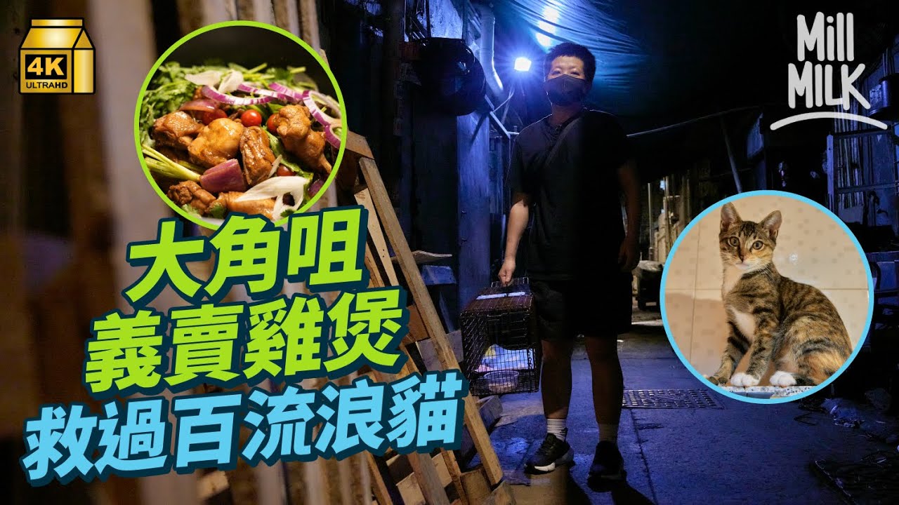 #MM｜大角咀開一人外賣雞煲店每日限量20個 義賣收入為救旺角流浪貓 8年來成功為過百隻流浪貓絕育尋領養｜#700萬種生活 #4K