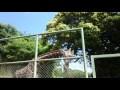 鹿児島県 平川動物園だよ～♪ の動画、YouTube動画。