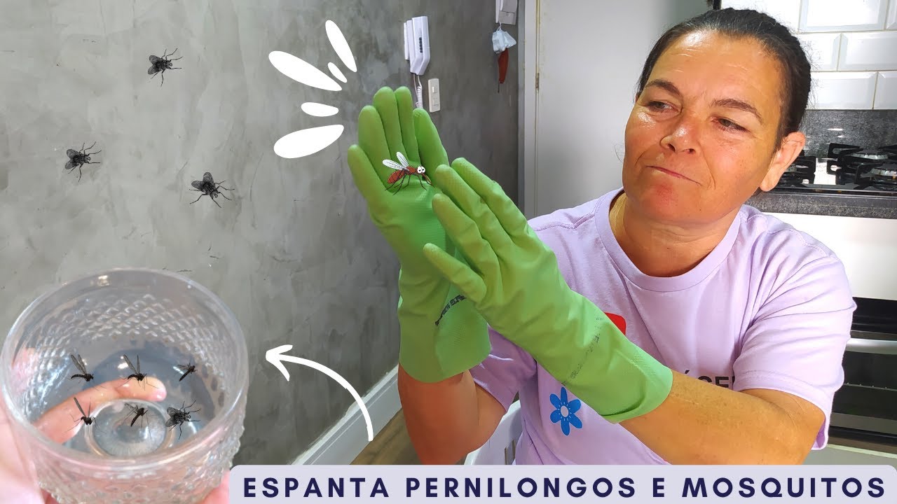 🦟Isso vai espantar os mosquitos e pernilongos da sua casa 🏡 | Coisas ...