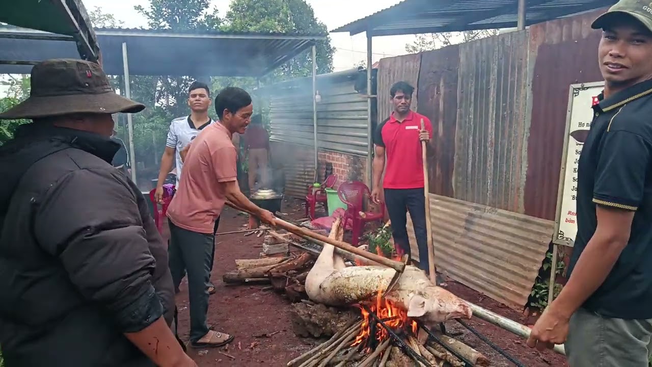 Pai gõ hok hè 2025