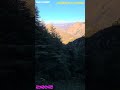 Vive La Nature Aguenni Lahwa Djurjura Algeria Video HD Bon Vision Beauty Of Nature 