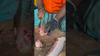 parrot fish cutting in fish market