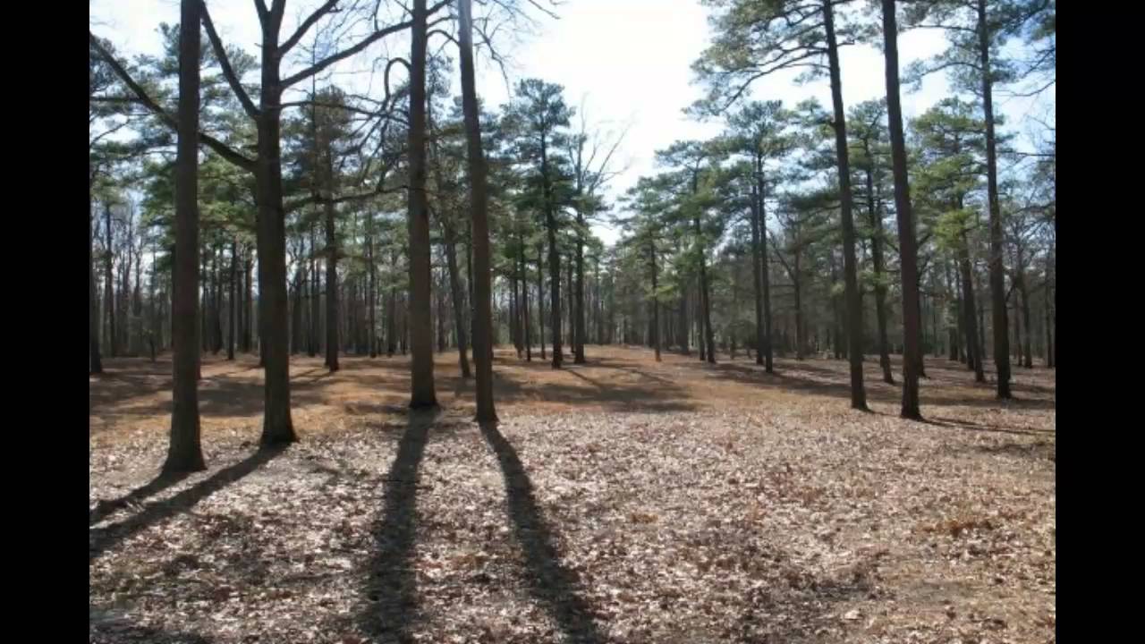 The Haunted Cold Harbor Battlefield, Mechanicsville, VA YouTube
