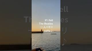 If I fell #thebeatles #ukulelecover #ウクレレ #カバー弾き語り #ukulele #歌ってみた