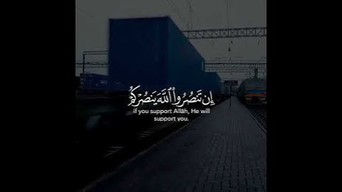 القارئ ماهر المعيقلي سورة (محمد)