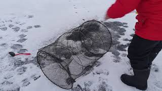 Установка верши катиски под лед за 5 минут Лучший способ зимняя рыбалка уловистая снасть 
