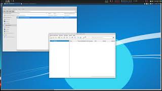Keepassxc & Cryptomator