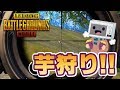 芋狩り！焼き芋美味しい季節ですね【PUBG MOBILE】