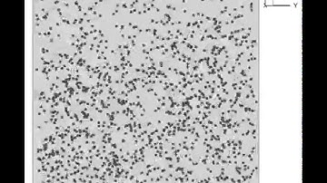 Numerical simulation of a colloidal dispersion with particle inertia