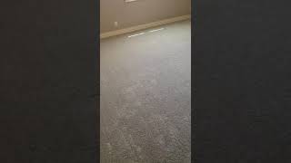 Carpet Bedroom