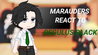 Marauders react Regulus | part 1 | read desc