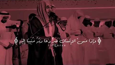 🌷القران الكريم🌷حالات واتس اب دينية | القارئ هيثم الدخين