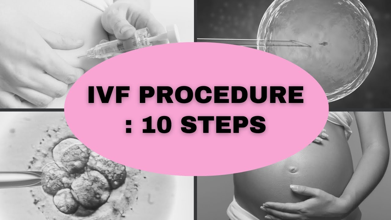 In vitro fertilization :10 steps 🔬 | ivf procedure step by step | AM ...